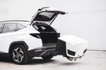 Towbox Alpha classic gray - trekhaakkoffer, bagagebox voor op de trekhaak