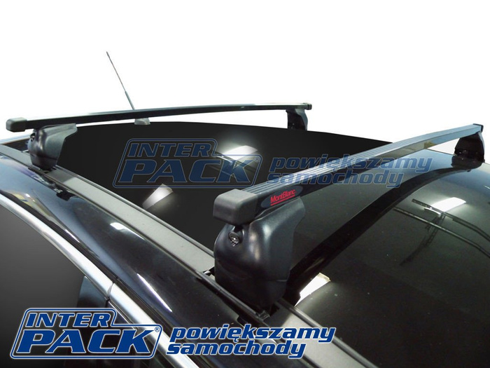 Mont Blanc AMC Peugeot 3008 stalen dakdrager