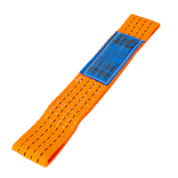 Transportgordel voor UNITRAILER sleepwagen sleepwagen riem sleepwagen harnas 30cm/50mm/4T