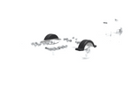 Spatbord voor boottrailer 13" DOMAR D20422 wielkast 950/240mm
