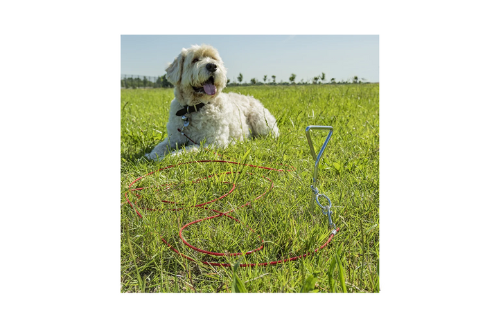 Spiralny palik do mocowania smyczy 4,5 m