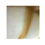 Lendensteun LAMP Juzo zitkussen of rugleuningkussen