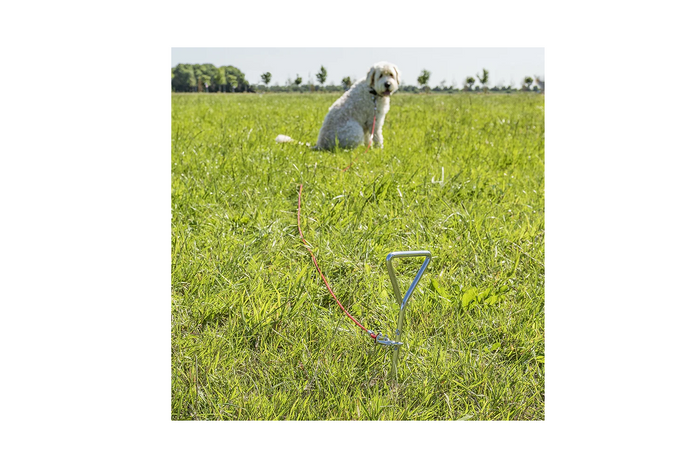 ProPlus 361857 riembevestigingspaal met stalen kabel van 4,5 m