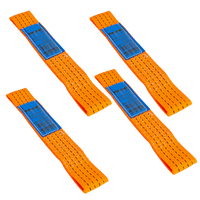 Set van vier transportgordels voor UNITRAILER aanhanger 0,3 m/50 mm/4 ton oranje