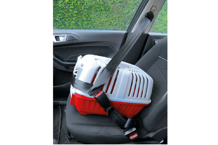 Gordelverlenger LAMP R16 goedgekeurd 28-62cm