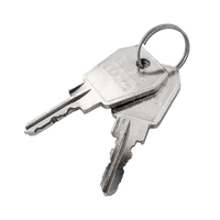 Carver sleutel 25008 (2 stuks)