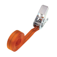 HILLS 5m/25mm/1t oranje eendelige spanband met spanner